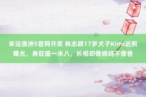 幸运澳洲5官网开奖 林志颖17岁犬子Kimi近照曝光，身旺盛一米八，长相却像姆妈不像爸