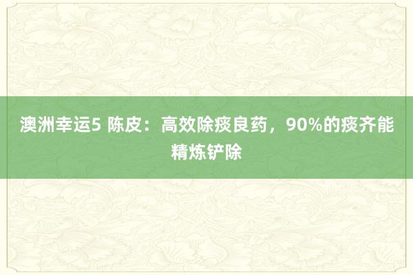 澳洲幸运5 陈皮：高效除痰良药，90%的痰齐能精炼铲除