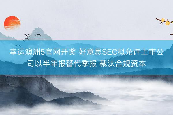 幸运澳洲5官网开奖 好意思SEC拟允许上市公司以半年报替代季报 裁汰合规资本