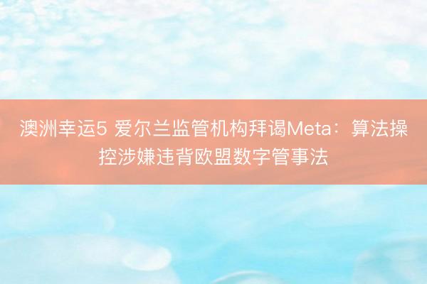 澳洲幸运5 爱尔兰监管机构拜谒Meta：算法操控涉嫌违背欧盟数字管事法